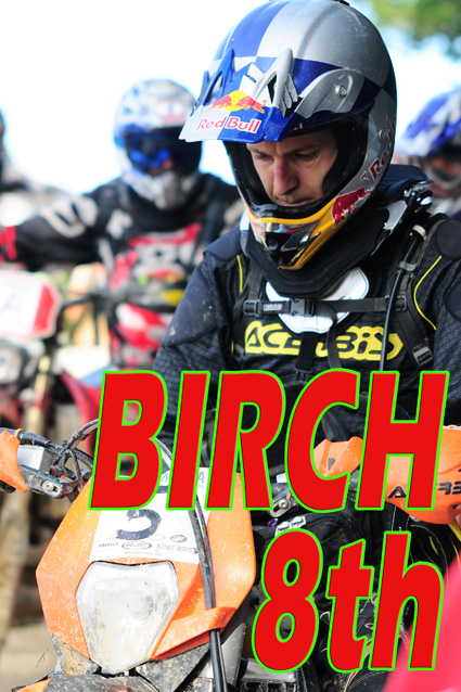 Birch-015-a