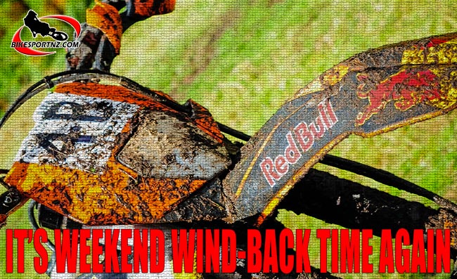 Birch-0023-mosaic2-c