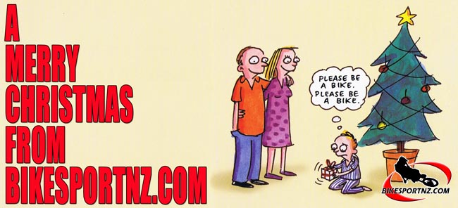 Christmas Card 2013-d