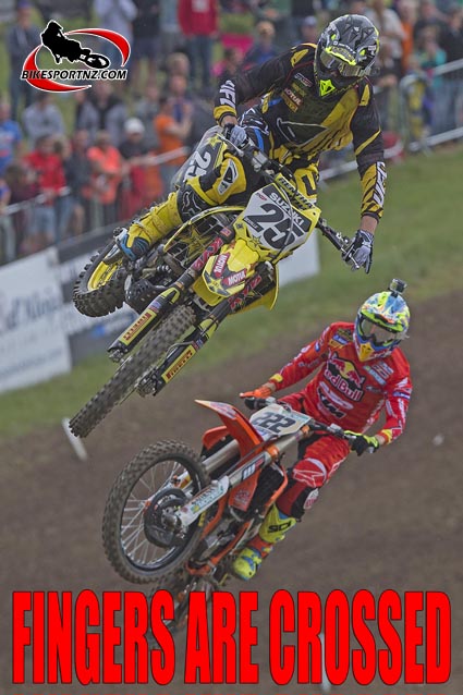 Desalle-1133-b