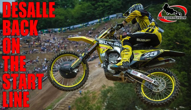 Desalle-6633-b
