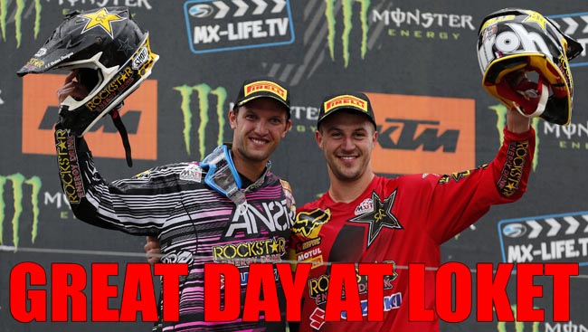 Desalle & Strijbos-2013-a