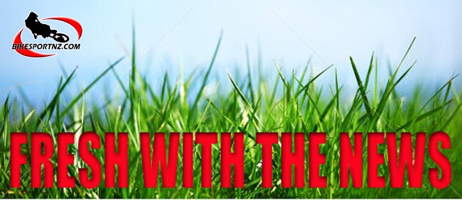 Graphic-grass-7524-b