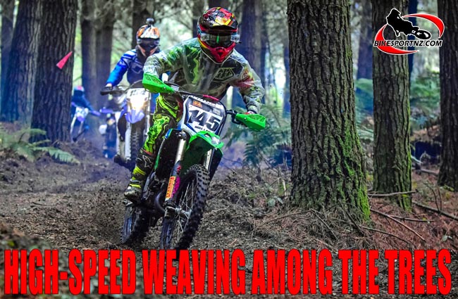 Hakiwai-Maikuku-0002-b