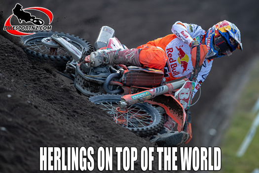 Herlings on video