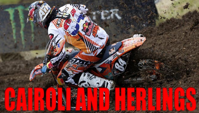 Herlings-1024-a