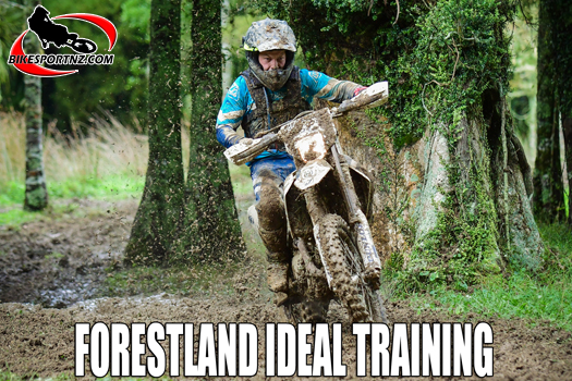 New Plymouth’s Renny Johnston (Husqvarna TE300), one of the senior grade frontrunners in the Forestland Cross-country Series last season and possibly among the favourites this weekend too. Photo by Andy McGechan, BikesportNZ.com