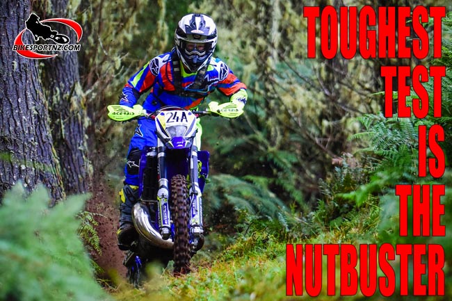 macdonald-hamish-0005-b