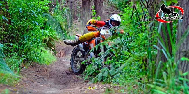 Milford-Cottam-0006-b