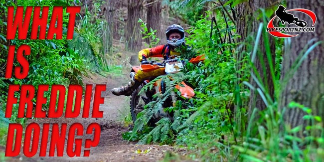 Milford-Cottam-0007-c