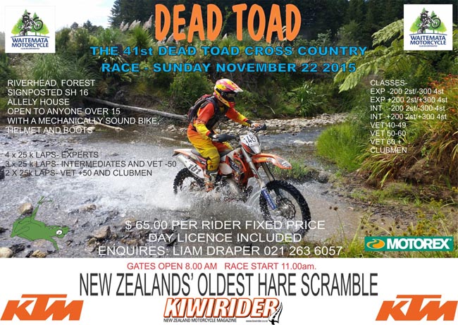 Poster-Dead Toad 2015-a