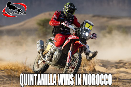 Quintanilla top dog in Morocco