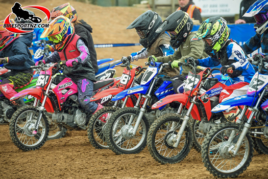 The riders blast out of the start gates in this trail 7-9 years’ class race on Saturday. Photo by Andy McGechan, BikesportNZ.com