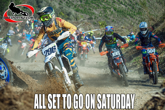 Forestland Cross-country Series set for blast-off on Saturday
