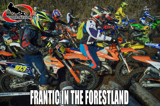 Forestland Cross-country Series kicks off in style