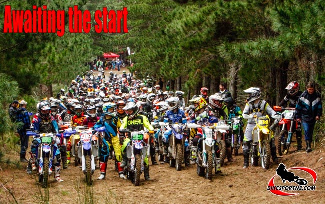 Start-Woodhill-7113-b