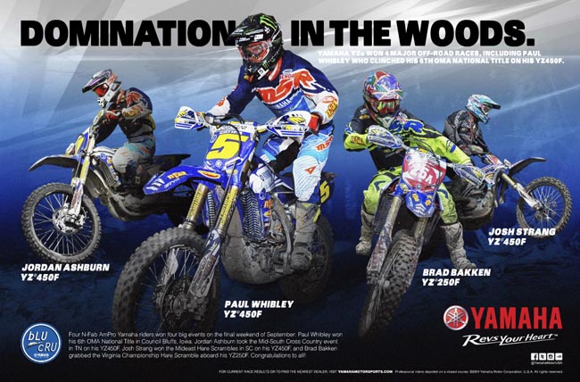 Whibley advert-2014-a