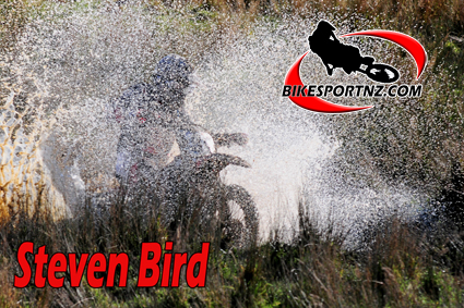 bird-steven-001-b bird-steven-001-b